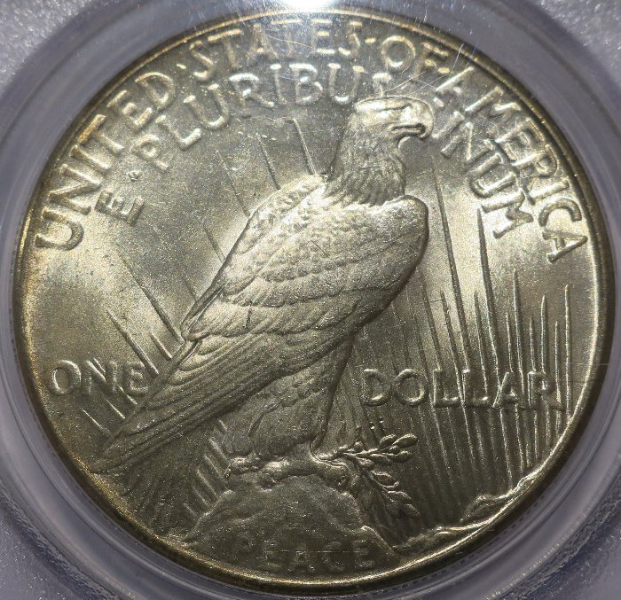 1925-Peace-Dollar:-You-Vs-PCGS